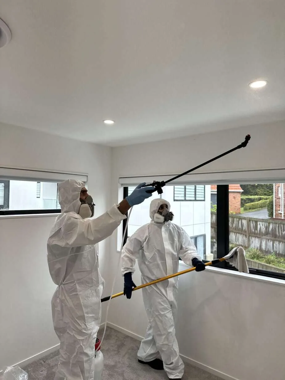 Xpert Cleaning flood cleanup assessment detail